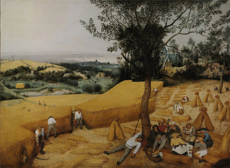 Żniwiarze - Pieter Brueghel Starszy