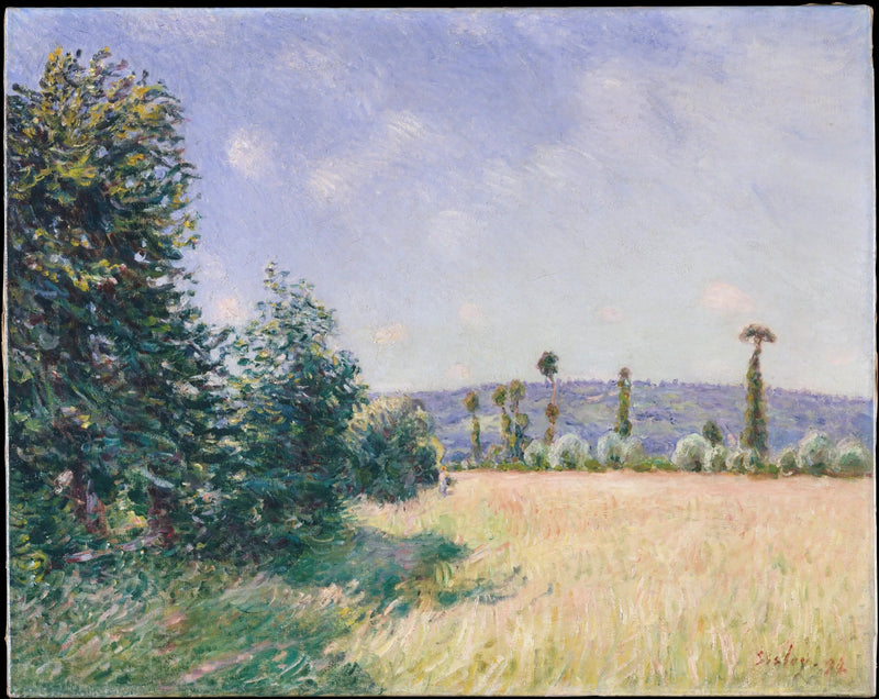 Łąki Sahurs w porannym słońcu - Alfred Sisley