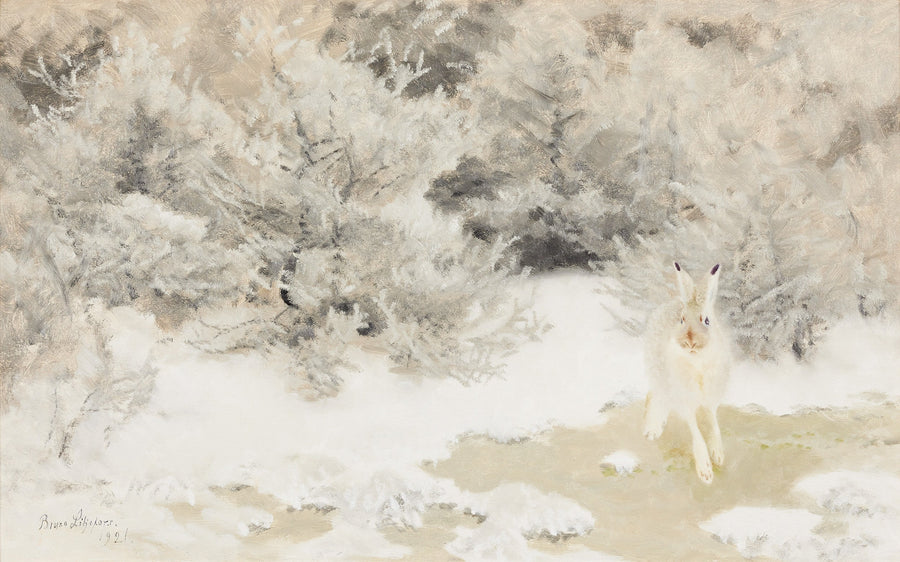 Lièvre d'hiver - Bruno Liljefors