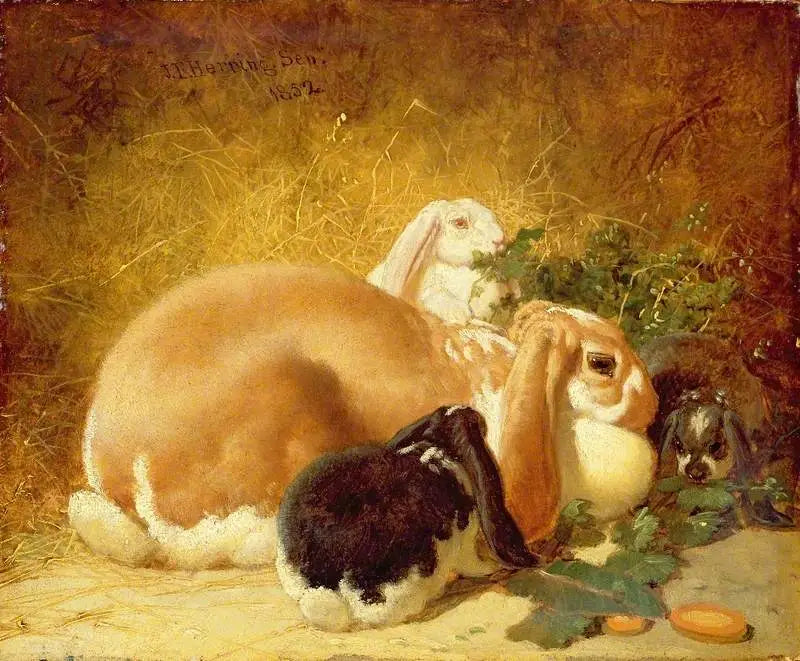 Belgijskie zające - John Frederick Herring, Sr.