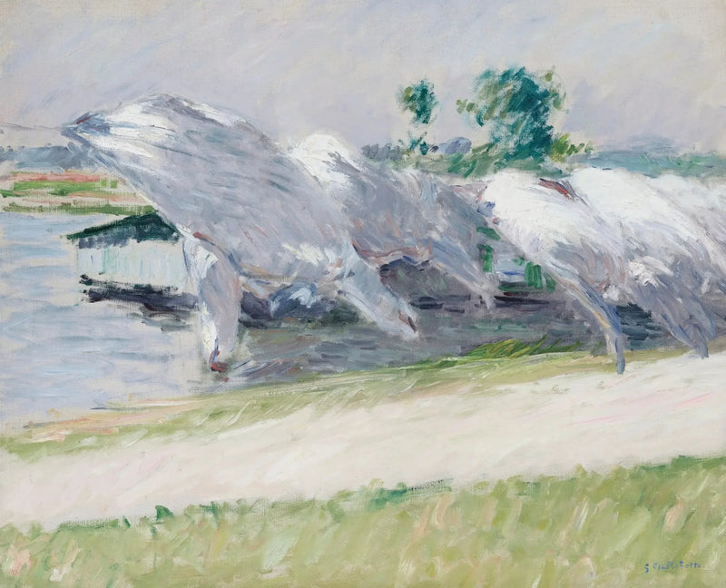 Suszarka, Petit Gennevilliers - Gustave Caillebotte