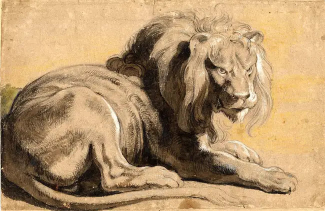 Lew - Peter Paul Rubens
