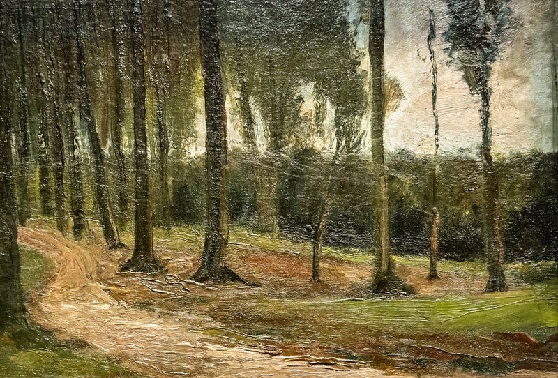 skraj lasu - Vincent van Gogh