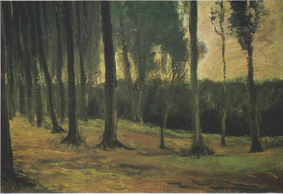 skraj lasu - Vincent van Gogh