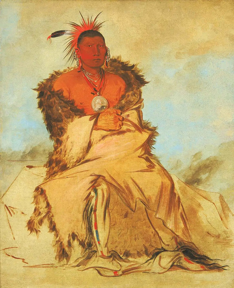 Loo-rá-wée-re-coo, Ptak idący na wojnę, hałas Pawnee - George Catlin
