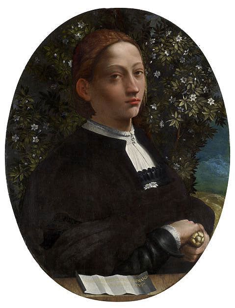 Lucrèce Borgia, duchesse de Ferrare - Dosso Dossi