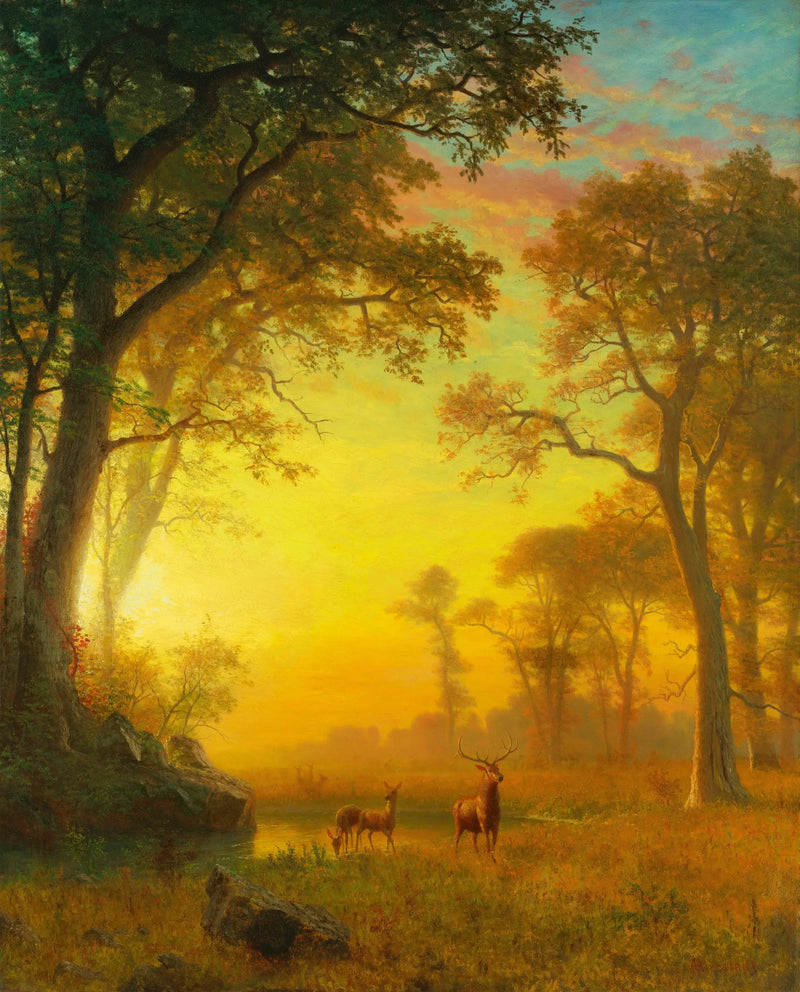 Światło w lesie - Albert Bierstadt