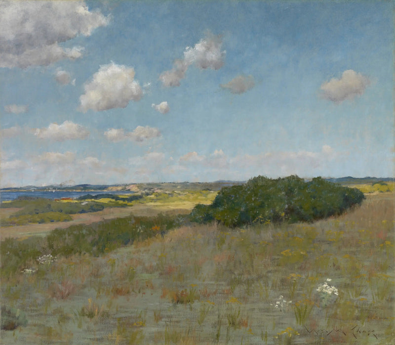 Światło słoneczne i cień, Shinnecock Hills - William Merritt Chase