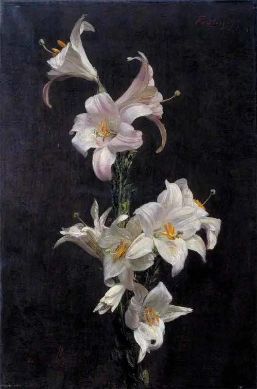 Białe lilie - Henri Fantin-Latour