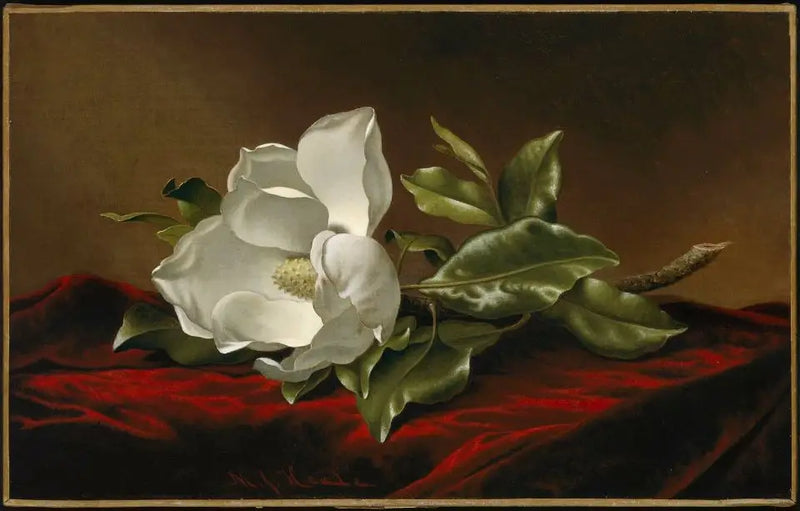Magnolia wielkokwiatowa - Martin Johnson Heade