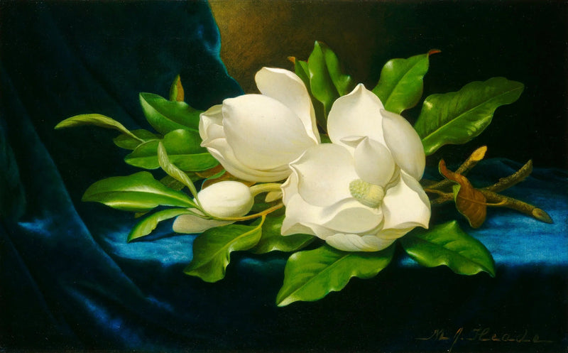 Gigantyczne magnolie na niebieskim aksamicie - Martin Johnson Heade