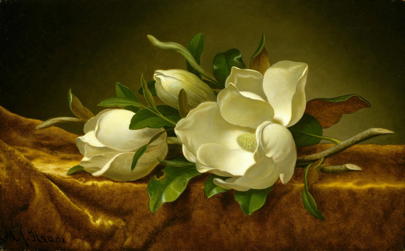 Magnolie na tkaninie z aksamitu złotego - Martin Johnson Heade
