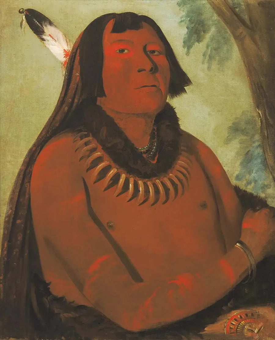 Mah-táhp-ta-a, pędzi na środek, odważny - George Catlin