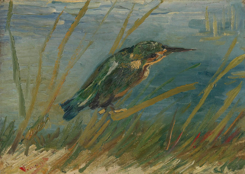 Zimorodek nad brzegiem wody - Vincent van Gogh