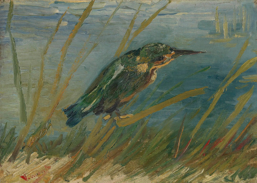 Zimorodek nad brzegiem wody - Vincent van Gogh