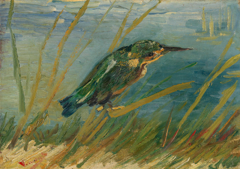 Zimorodek nad brzegiem wody - Vincent van Gogh
