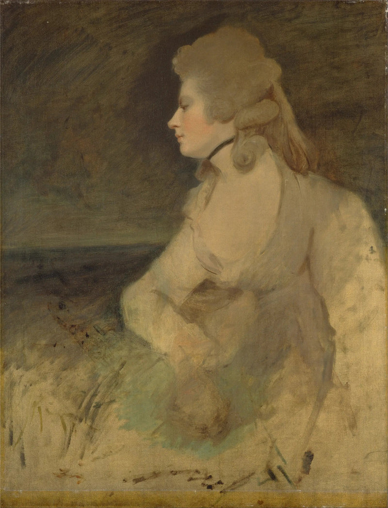 Mary Robinson (z domu Darby) - Joshua Reynolds