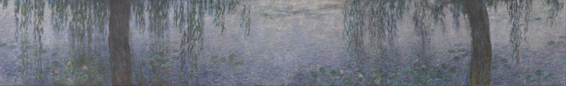 Nenufary - Jasny Poranek z Wierzbowymi - Claude Monet