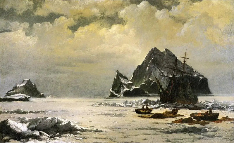Poranek na lodowych polach Arktyki - William Bradford