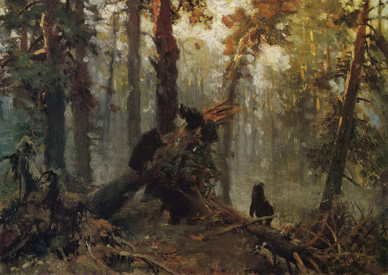 Poranna w lesie piniowym. Szkic - Ivan Chichkine
