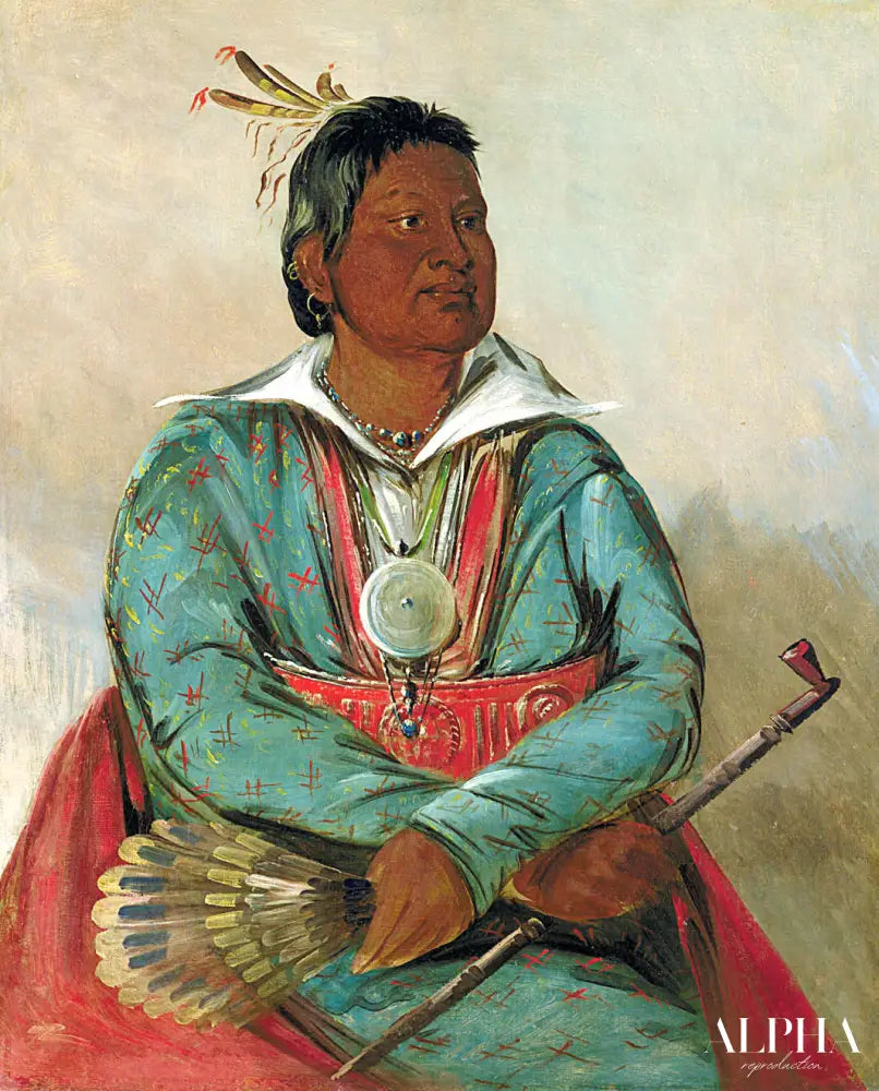 Mó-sho-la-túb-bee, He Who Puts Out and Kills, Chief of the Tribe - George Catlin - Reproductions de tableaux et peintures haut de gamme