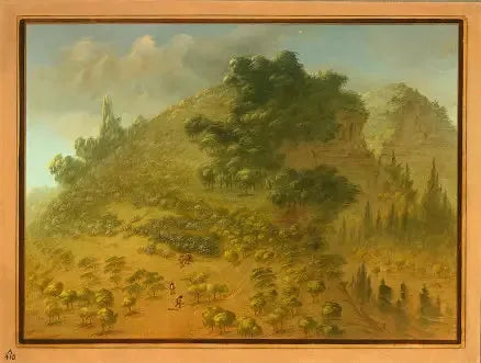 Góra Rododendronów - George Catlin