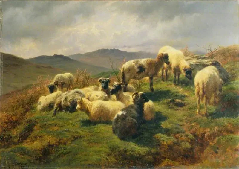 Owce na Wyżynach - Rosa Bonheur