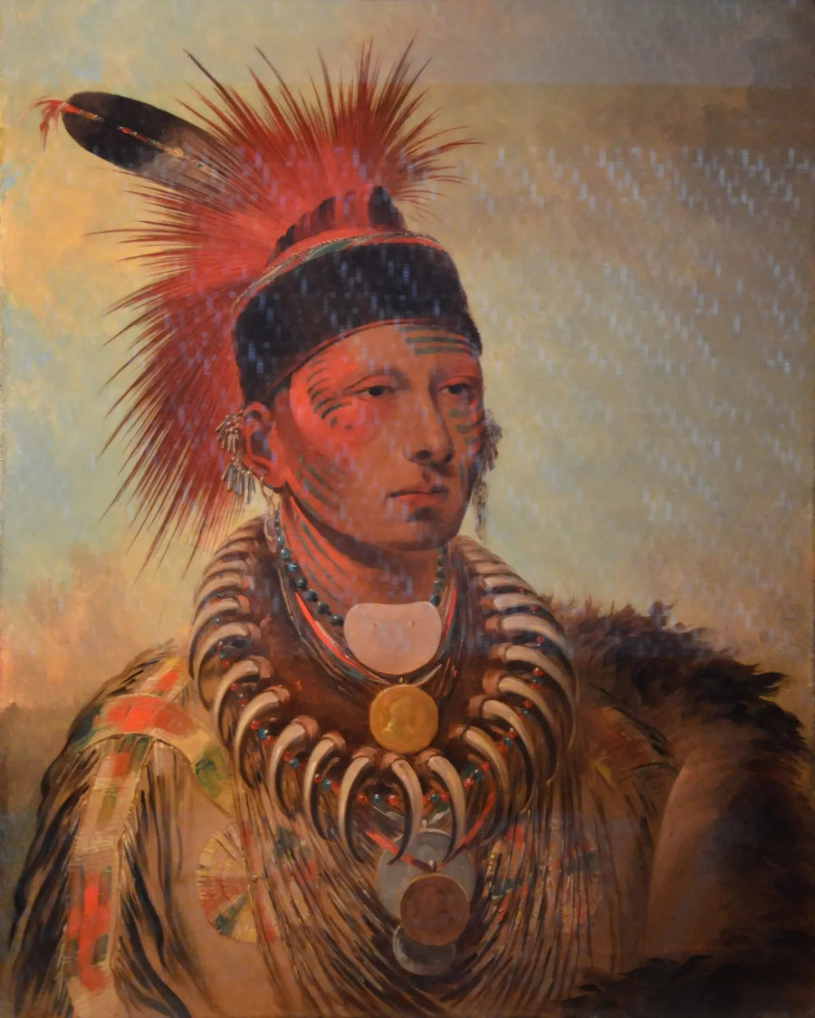 Mu-hu-she-kaw (Biały chmura) - George Catlin