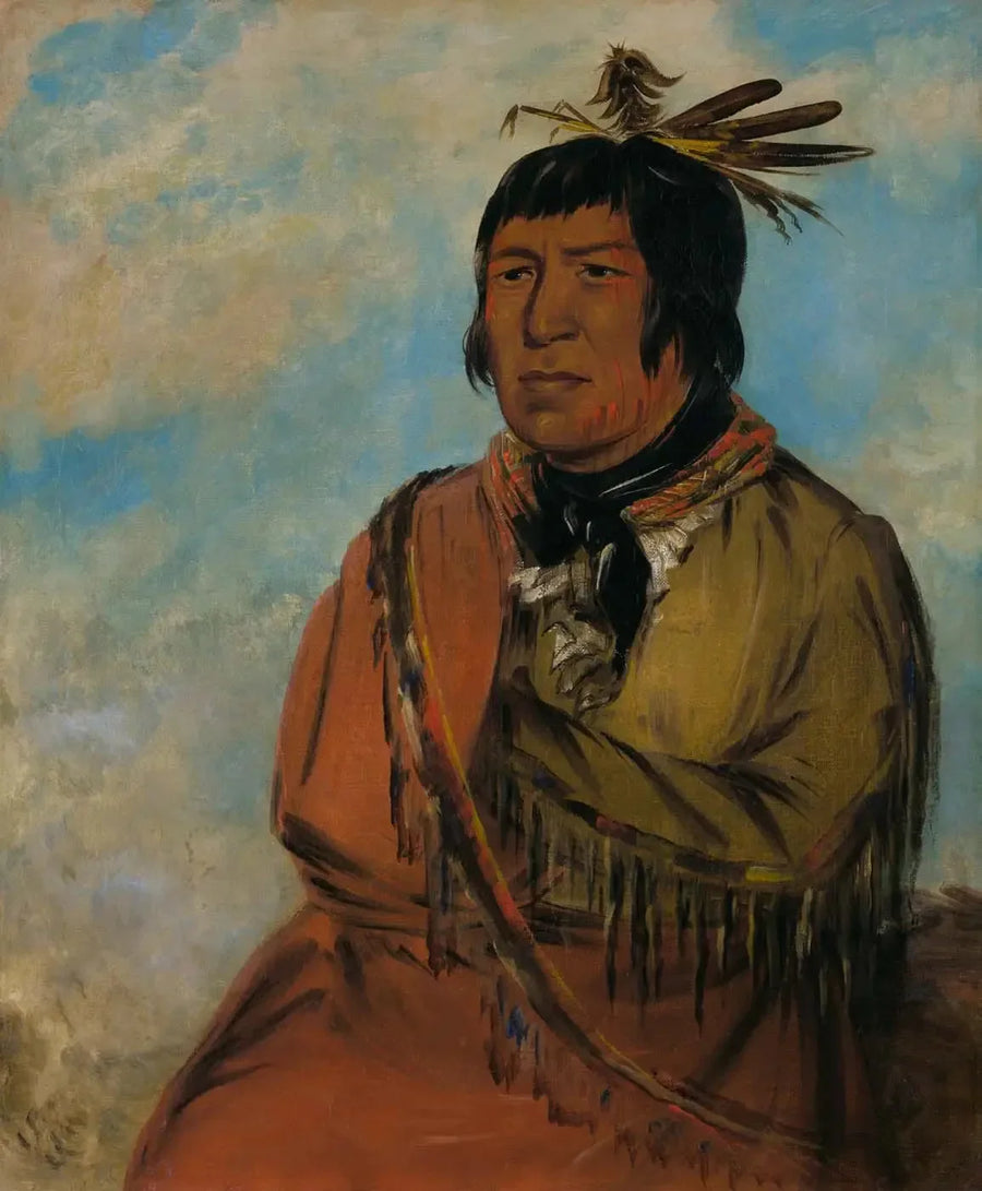 Na-pów-sa, Niedźwiedź podróżujący w nocy, autor - George Catlin