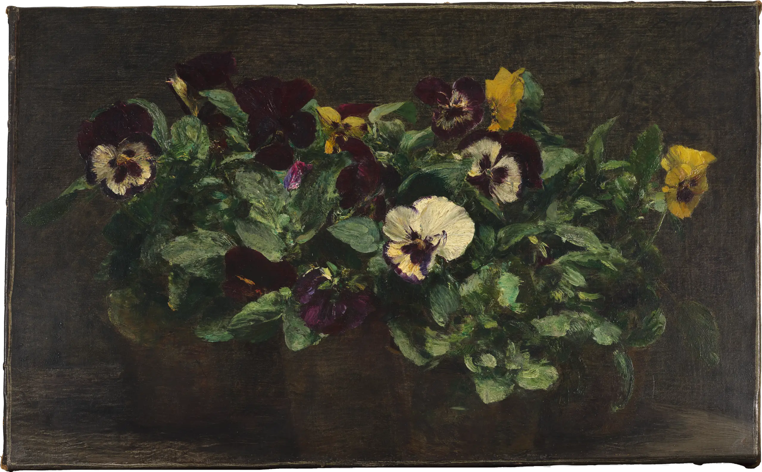 Nature morte aux pensées - Henri Fantin-Latour - Alpha Reproduction