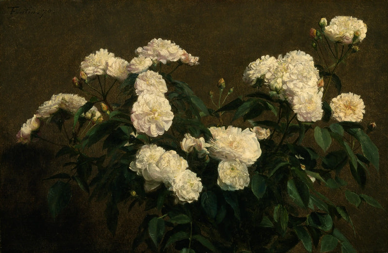 Martwa natura z białymi różami - Henri Fantin-Latour
