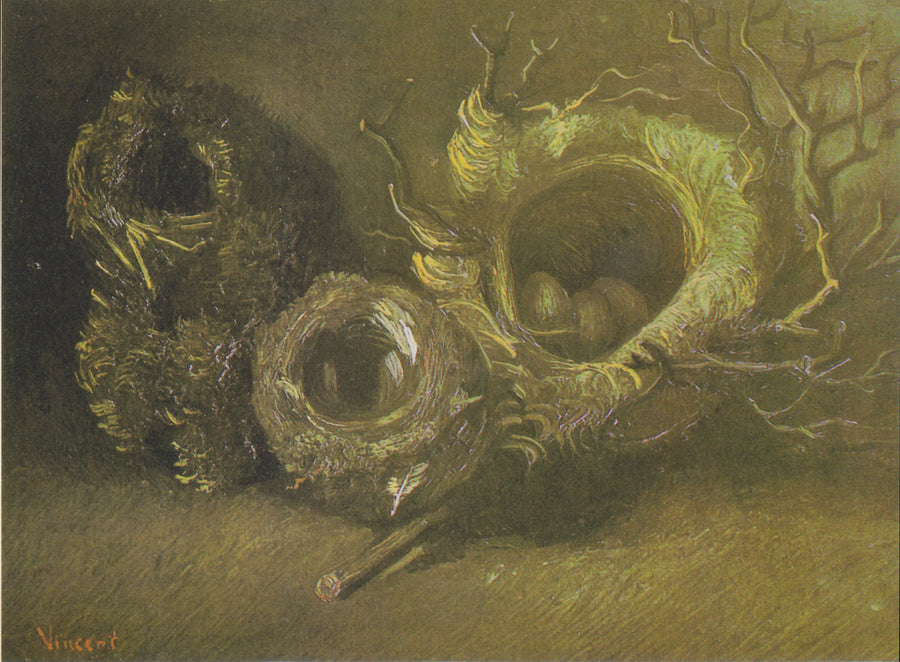 Martwa natura z trzema gniazdami ptaków - Vincent van Gogh
