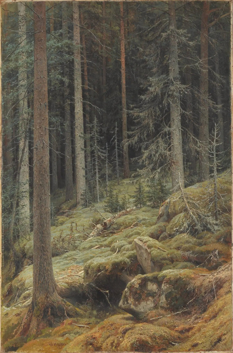 Dzika przyroda - Ivan Chichkine