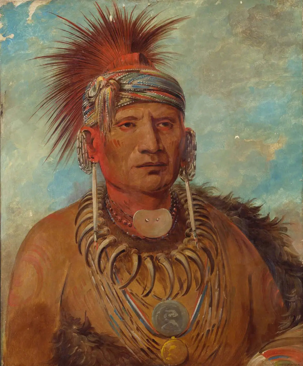 Neu-mon-ya, Pluie qui marche, Chef de guerre - George Catlin image 1 copie de tableau peinte à la main