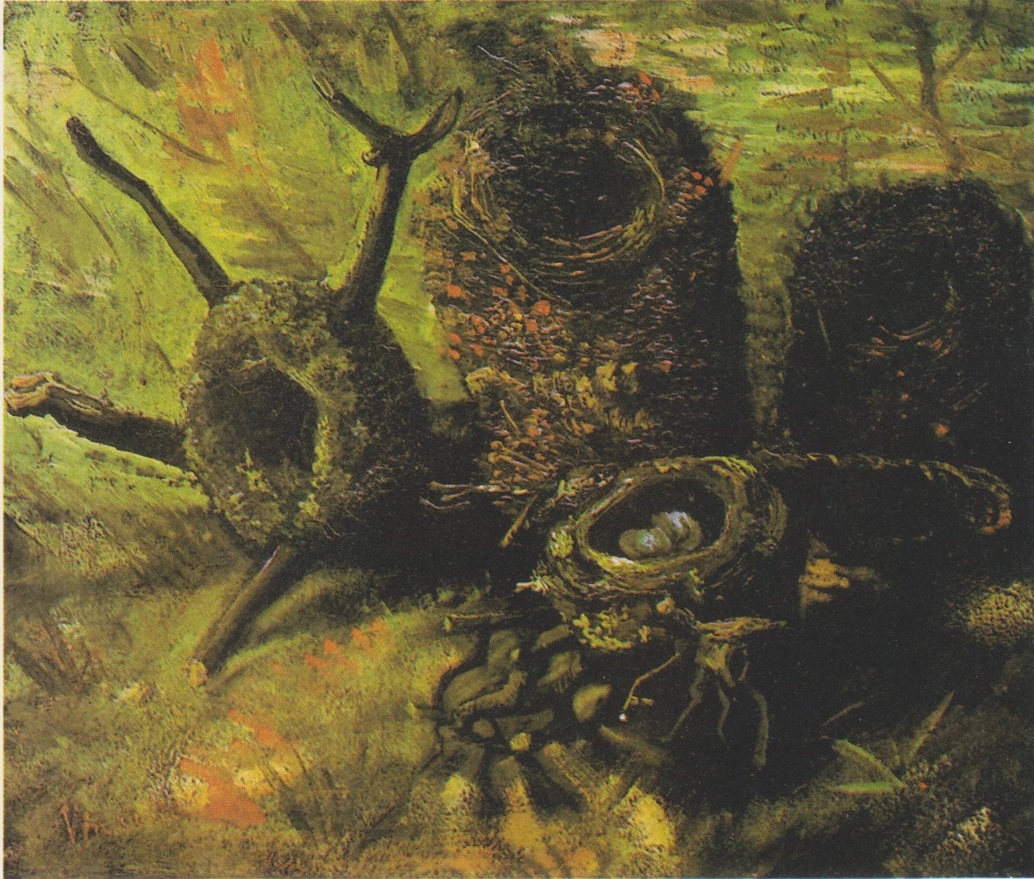 nids d'oiseaux - Vincent van Gogh image 1 reproduction de peinture à l’huile