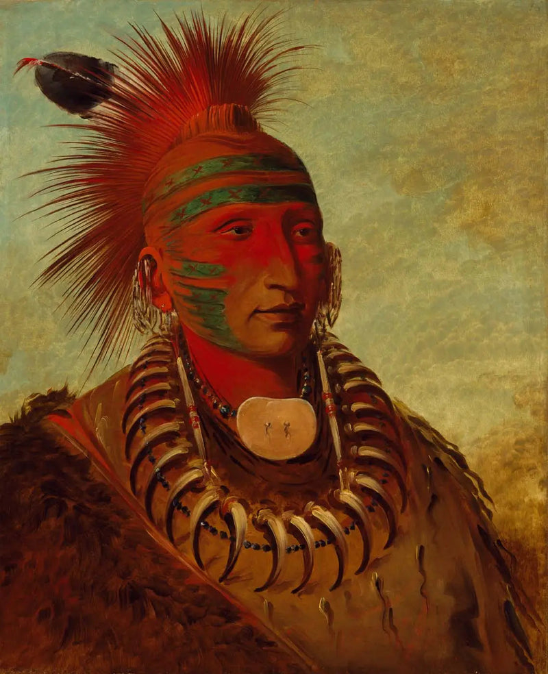 No-ho-mun-ya, Ten, który nie zwraca uwagi - George Catlin