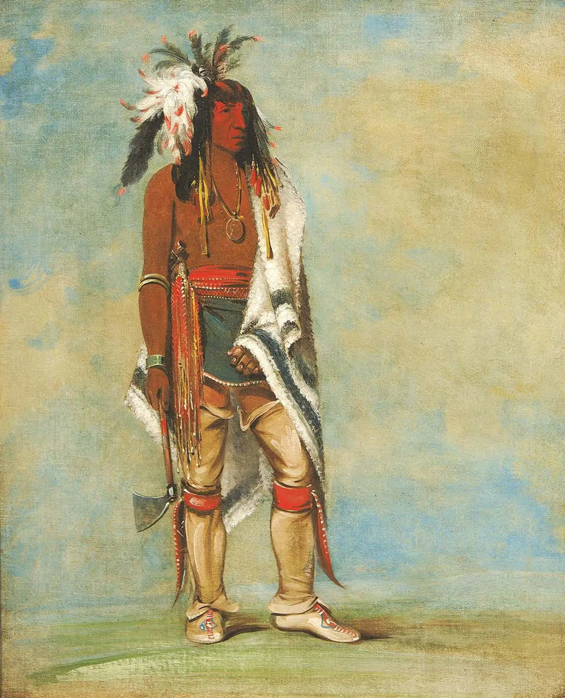 Nie-do-drogi, szef - George Catlin