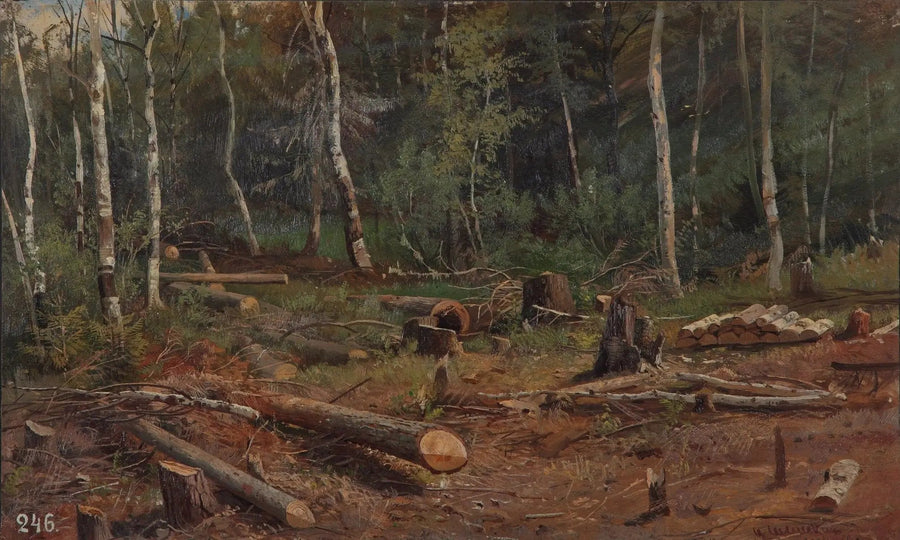 Nowa eksploatacja leśna - Ivan Chichkine