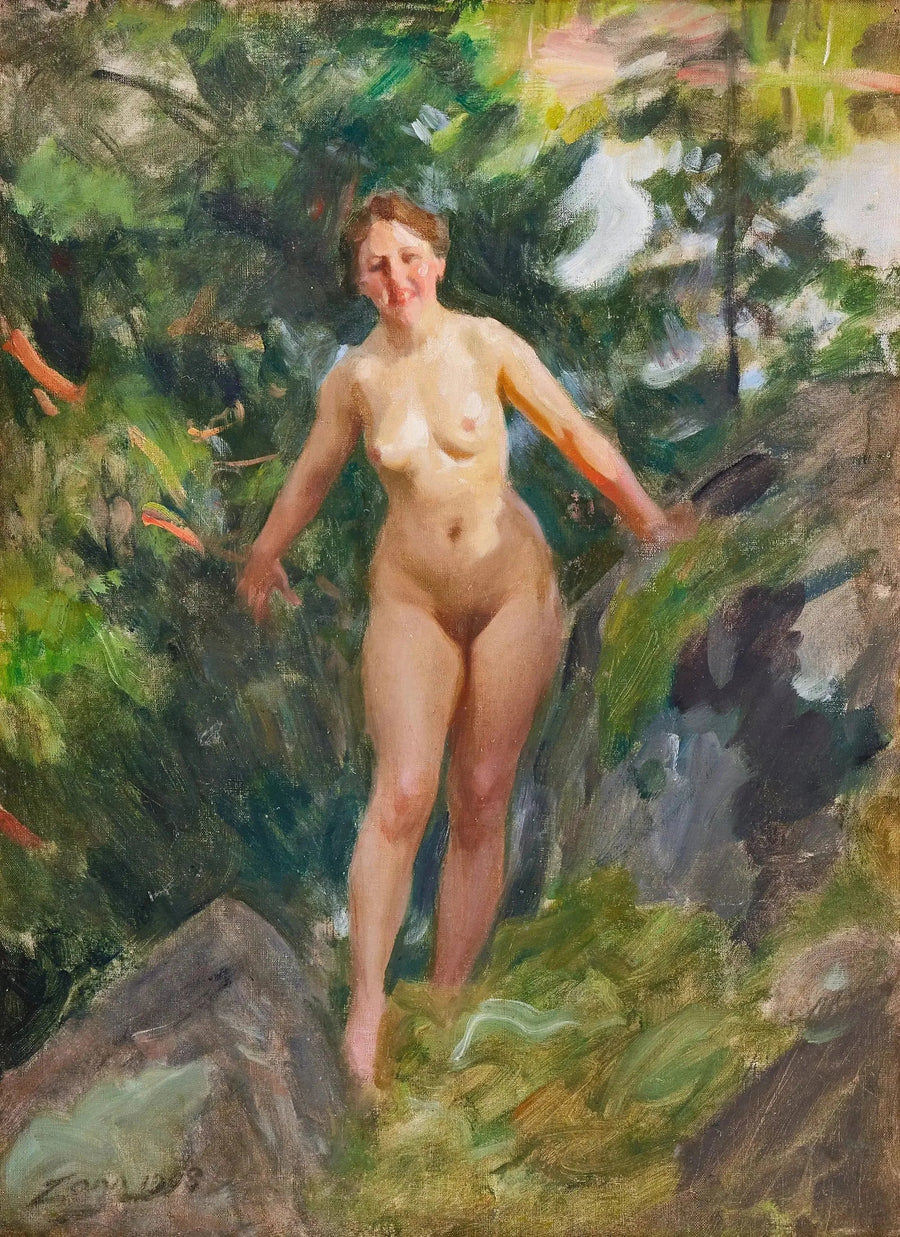 Tylko w skalistym lesie - Anders Zorn