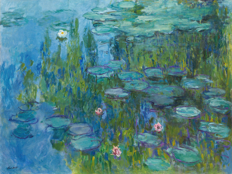 Lilie wodne, Neue Pinakothek W1796 - Claude Monet