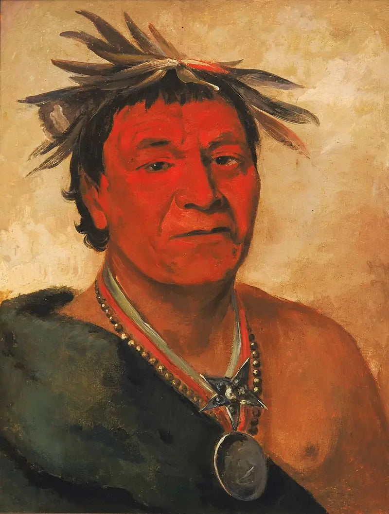 O-ho-páh-sha, Mały Whoop, wybitny wojownik - George Catlin