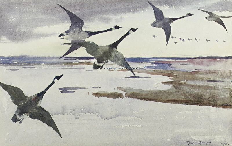 Gęsi kanadyjskie - Frank Weston Benson