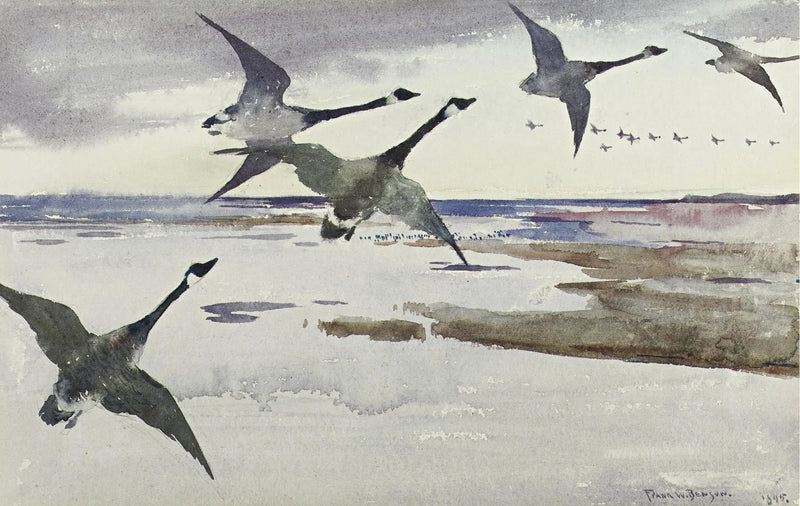 Gęsi kanadyjskie - Frank Weston Benson