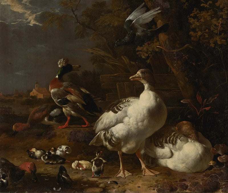 Gęsi i kaczki - Melchior de Hondecoeter