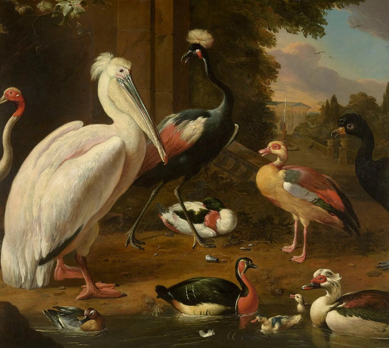 Ptaki wodne - Melchior de Hondecoeter