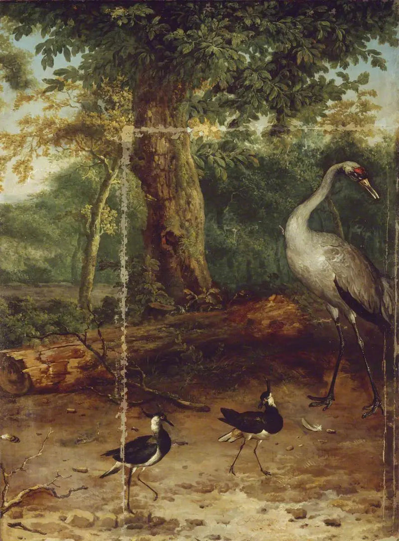 Ptaki w lesie - Melchior de Hondecoeter