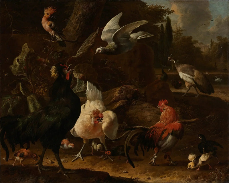 Ptaki w parku - Melchior de Hondecoeter