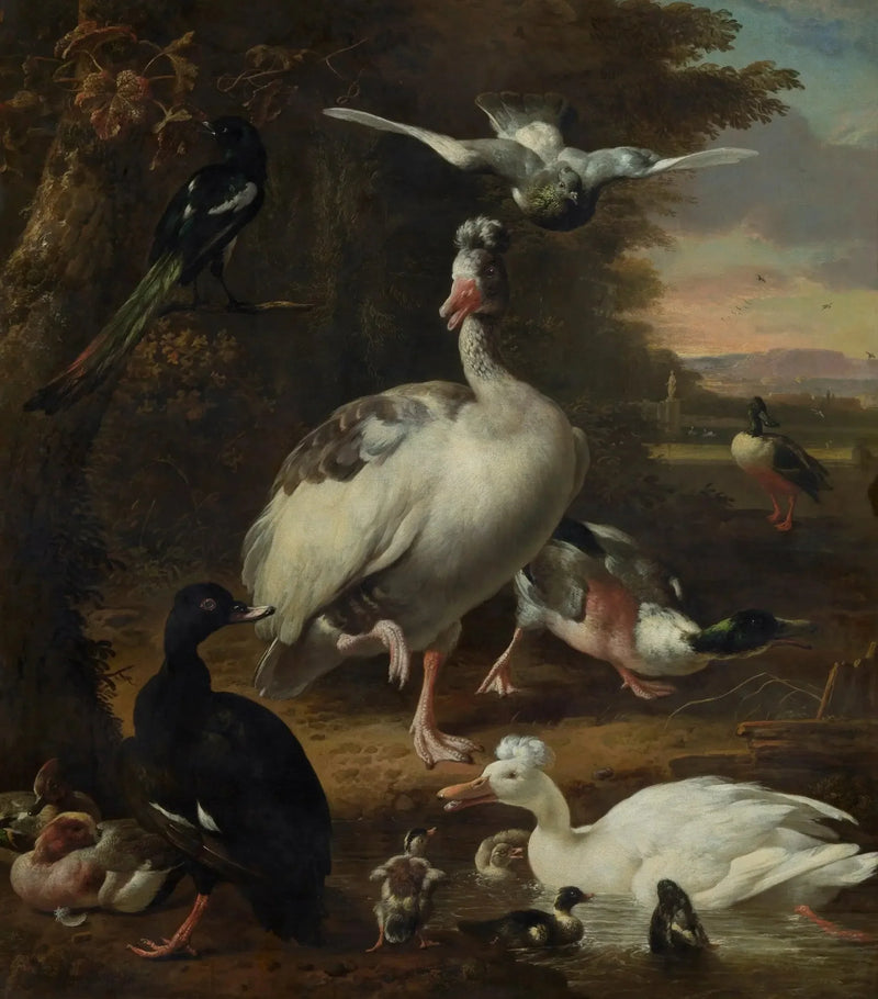 Ptaki - Melchior de Hondecoeter