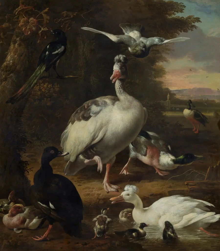 Ptaki - Melchior de Hondecoeter