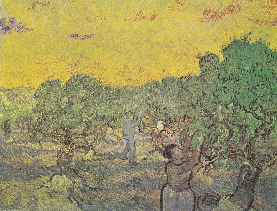 Gaj oliwny z figurkami zbieraczy - Vincent van Gogh
